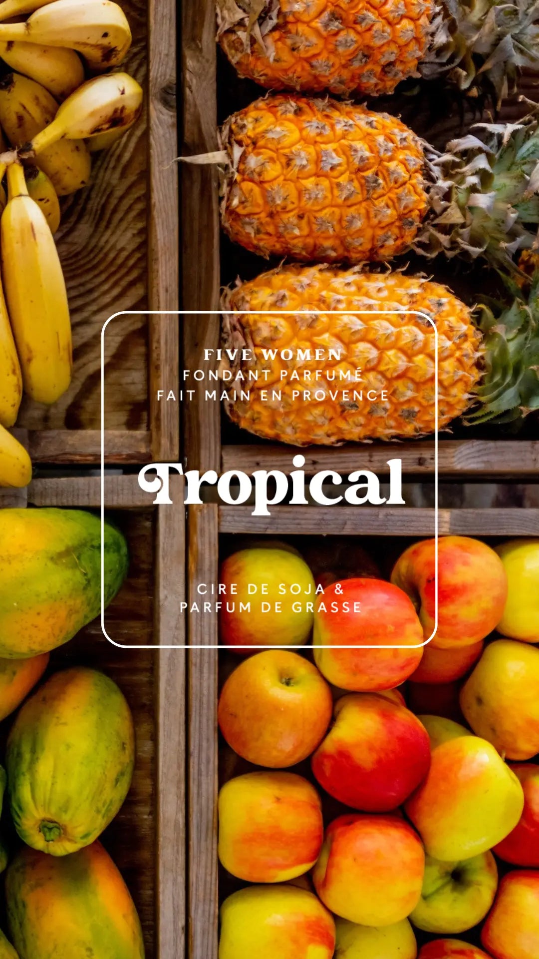 Fondants parfumés - senteur Tropical 