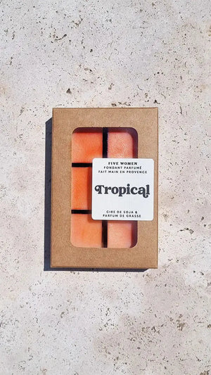 Fondants parfumés - senteur Tropical 
