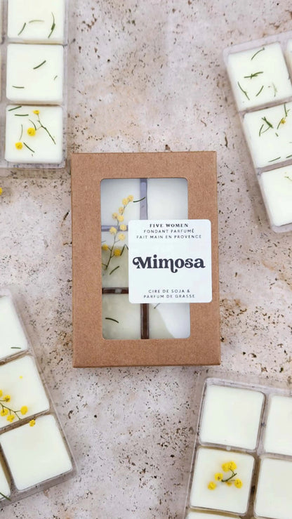 Fondants parfumés - senteur Mimosa 