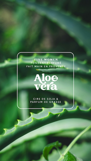 Fondants parfumés - senteur Aloe vera 