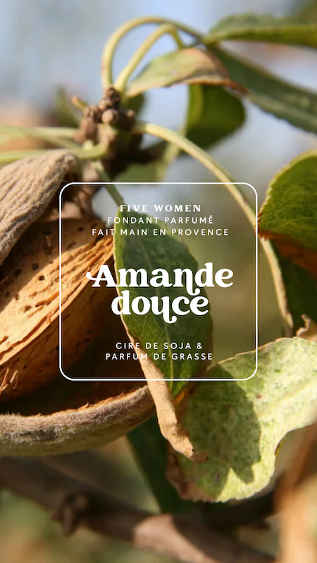 Fondants parfumés - senteur Amande douce 