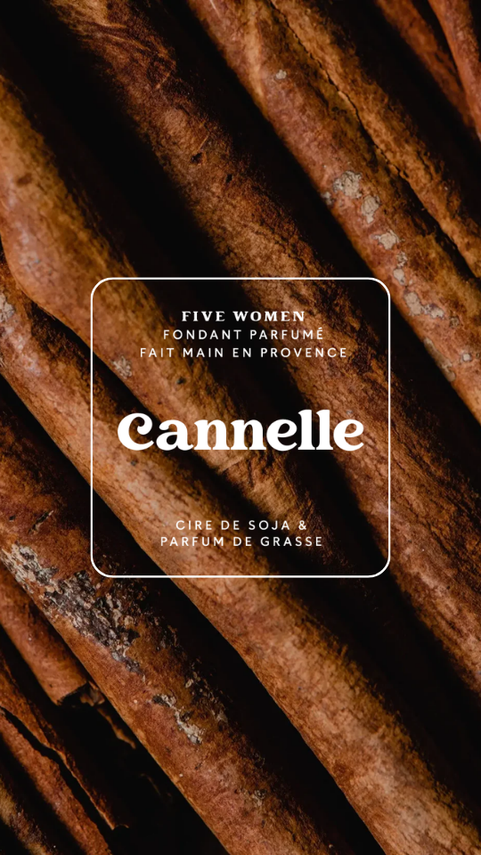Fondants parfumés - senteur Cannelle 