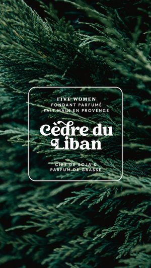 Fondants parfumés - senteur Cèdre du Liban 