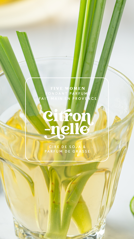 Fondants parfumés - senteur Citronnelle (anti-moustique) 