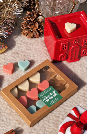 Assortiment de fondants parfumés Coups de cœur de Noël - Noix & Miel, Épices de Noël et Mon beau sapin 