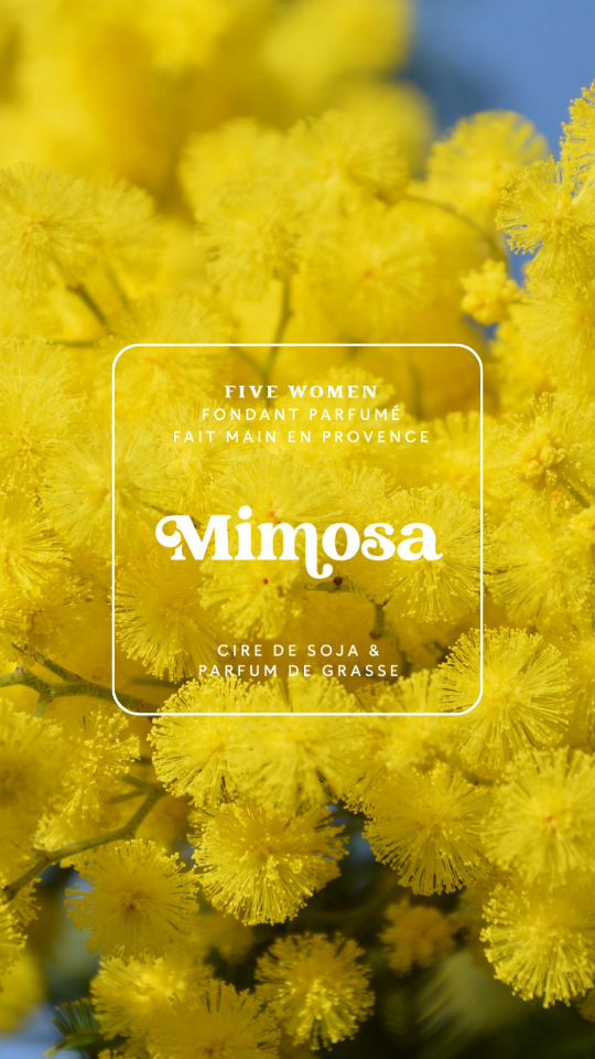 Fondants parfumés - senteur Mimosa 