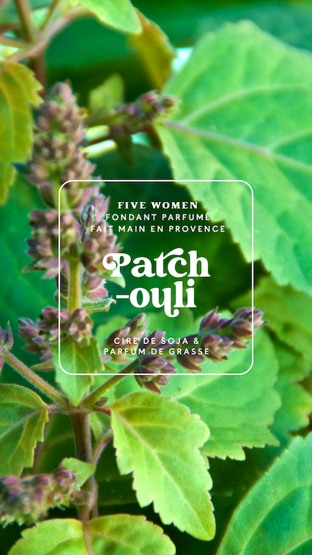 Fondants parfumés - senteur Patchouli 