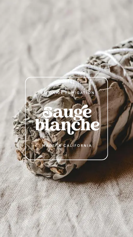 Bâton de sauge blanche 