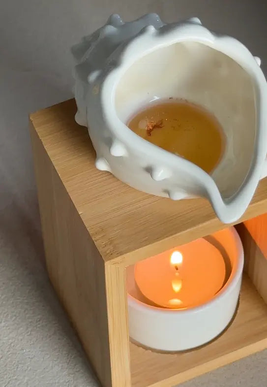 Brûle-parfum - Coquillage 