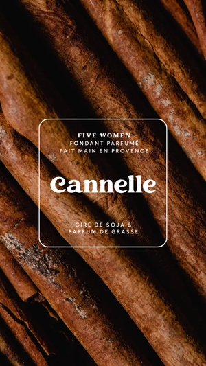 Illustration épicée de la senteur Cannelle