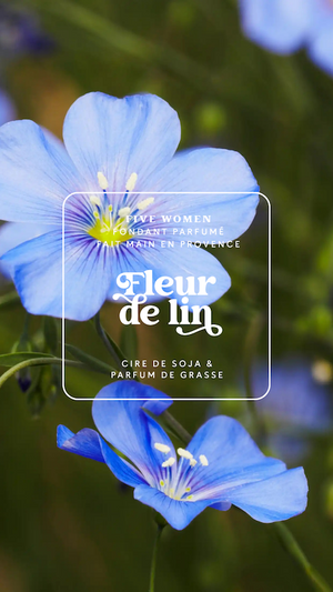 Illustration florale de la senteur Fleur de lin