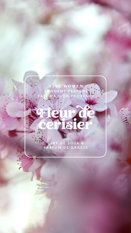 Illustration florale de la senteur Fleur de cerisier