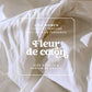 Illustration florale de la senteur Fleur de coton