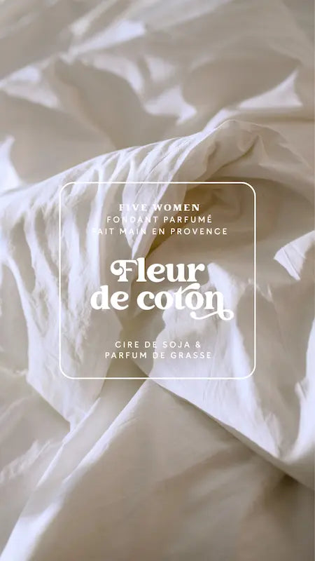 Illustration florale de la senteur Fleur de coton