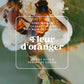 Illustration florale de la senteur Fleur d’oranger