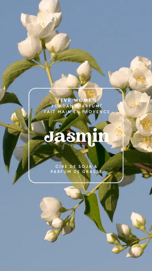 Illustration florale de la senteur Jasmin