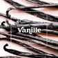 Illustration gourmande de la senteur Vanille