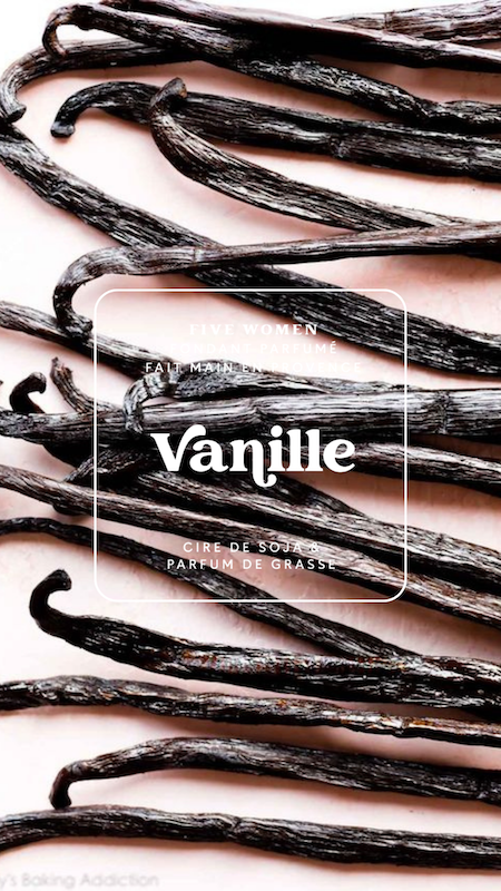 Illustration gourmande de la senteur Vanille