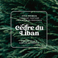 Illustration de la senteur Cèdre du Liban