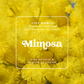 Illustration de la senteur Mimosa