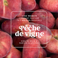 Illustration de la senteur Pêche de vigne