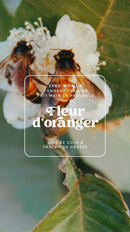 Fondants parfumés - senteur Fleur d'oranger 